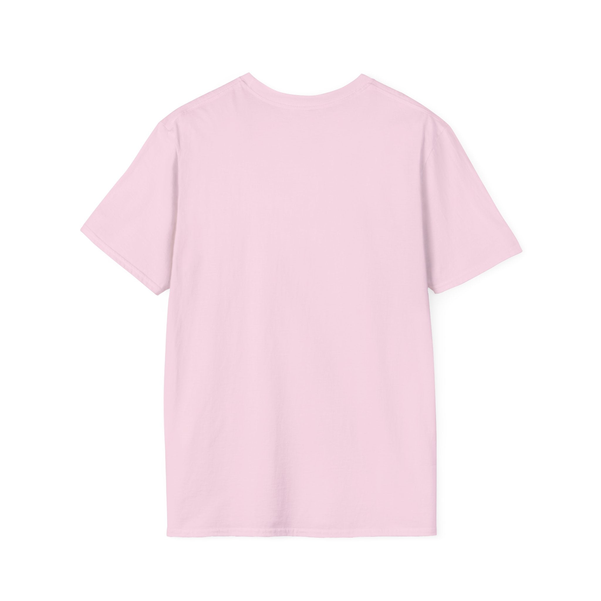 Sorry Can't Flying Bye T-Shirt