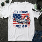Freedom 250 Years Vintage Airplane T-Shirt